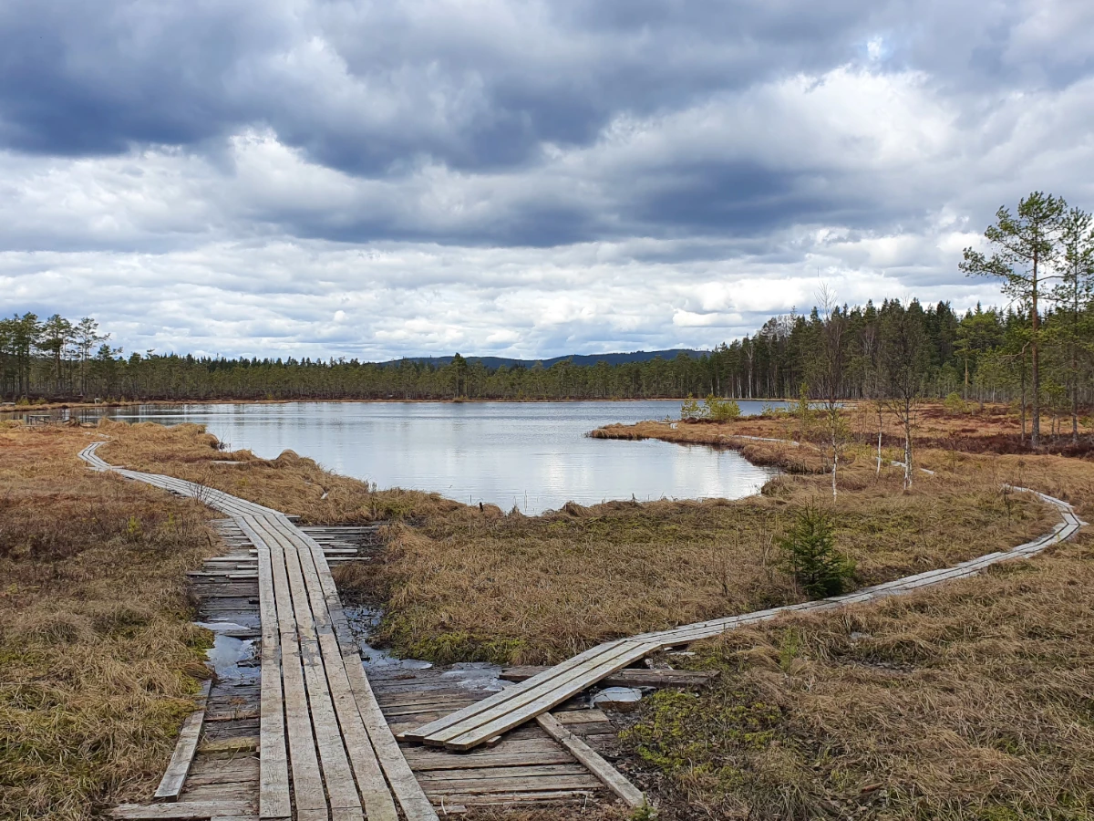 Skylt isfiskepremiär 2024